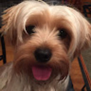 Meet your Posher, Jane